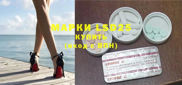 шишки Няндома