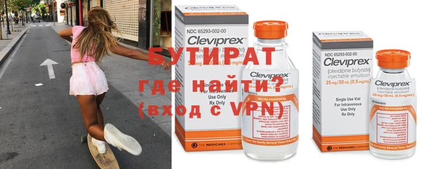 шишки Няндома