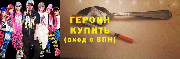 шишки Няндома